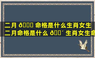 二月 🐕 命格是什么生肖女生「二月命格是什么 🐴 生肖女生命运」